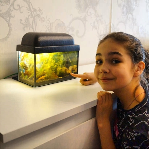мини-аквариум в детской комнате