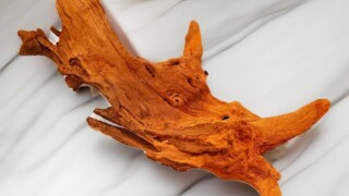 Коряга кизила 139 г Коряга лежит на сером фоне